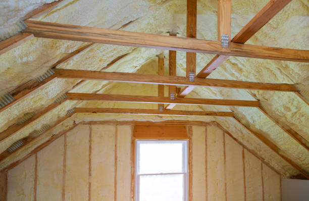 Best Insulation Installation Services in Sioux Center, IA