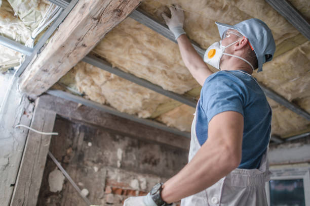 Best Types of Insulation in Sioux Center, IA